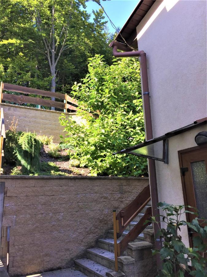 Villa Babiccin Vejminek Čeladná Exterior foto